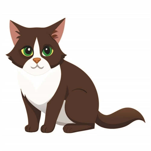 Cat Lovers Theme Havana Brown Cat Transparent Sticker